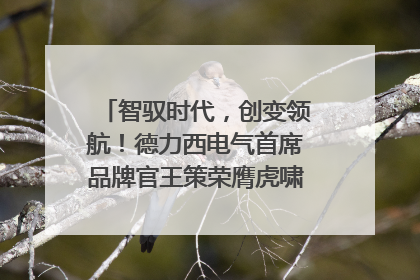 智驭时代，创变领航！德力西电气首席品牌官王策荣膺虎啸奖年度品牌人物
