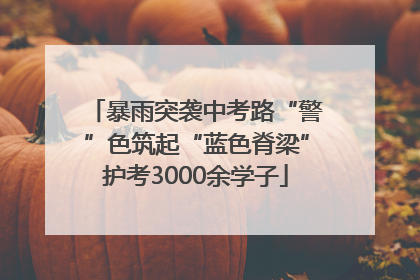 暴雨突袭中考路“警”色筑起“蓝色脊梁”护考3000余学子