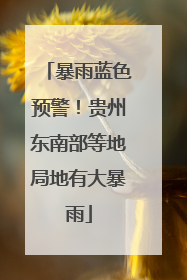 暴雨蓝色预警！贵州东南部等地局地有大暴雨