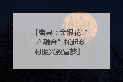 曹县：金银花“三产融合”托起乡村振兴致富梦