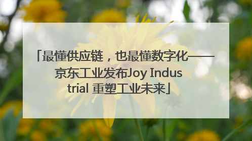 最懂供应链，也最懂数字化——京东工业发布Joy Industrial 重塑工业未来
