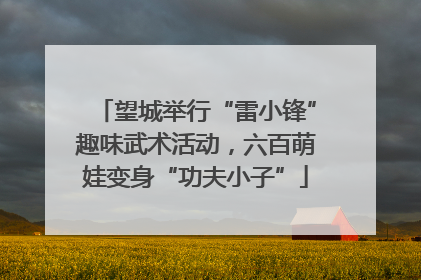 望城举行“雷小锋”趣味武术活动，六百萌娃变身“功夫小子”