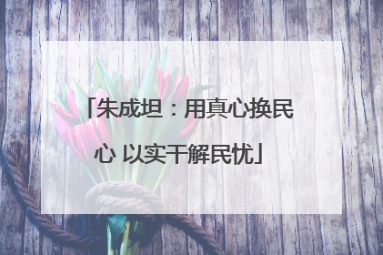 朱成坦：用真心换民心 以实干解民忧
