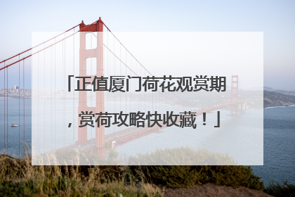 正值厦门荷花观赏期，赏荷攻略快收藏！