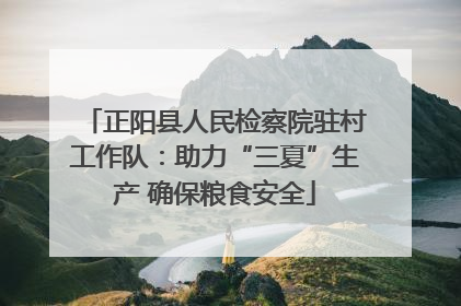 正阳县人民检察院驻村工作队：助力“三夏”生产 确保粮食安全