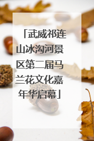 武威祁连山冰沟河景区第二届马兰花文化嘉年华启幕