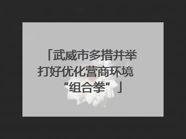 武威市多措并举打好优化营商环境“组合拳”