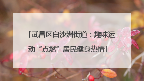 武昌区白沙洲街道：趣味运动“点燃”居民健身热情