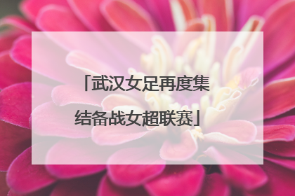 武汉女足再度集结备战女超联赛