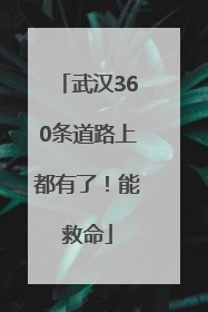 武汉360条道路上都有了！能救命