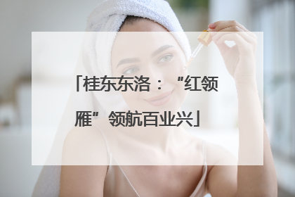 桂东东洛：“红领雁”领航百业兴