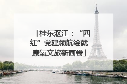 桂东沤江：“四红”党建领航绘就康氧文旅新画卷