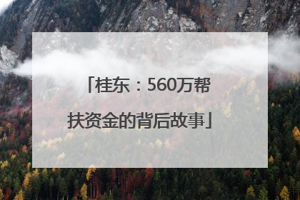 桂东：560万帮扶资金的背后故事