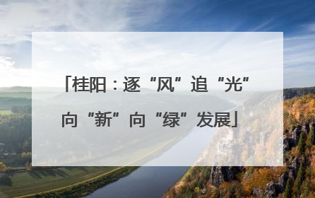 桂阳：逐“风”追“光” 向“新”向“绿”发展