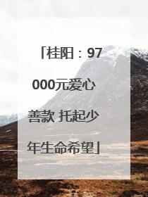 桂阳：97000元爱心善款 托起少年生命希望
