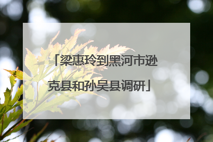 梁惠玲到黑河市逊克县和孙吴县调研