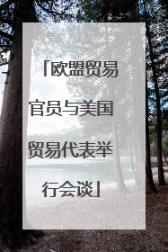 欧盟贸易官员与美国贸易代表举行会谈