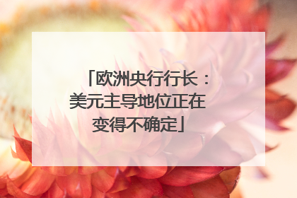 欧洲央行行长：美元主导地位正在变得不确定