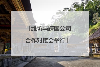 潍坊与跨国公司合作对接会举行