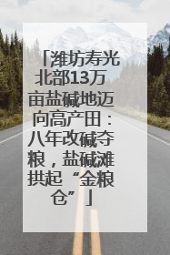 潍坊寿光北部13万亩盐碱地迈向高产田：八年改碱夺粮，盐碱滩拱起“金粮仓”