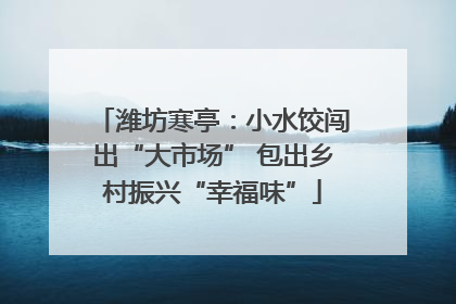 潍坊寒亭：小水饺闯出“大市场” 包出乡村振兴“幸福味”
