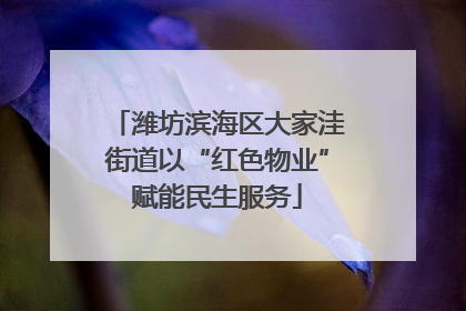 潍坊滨海区大家洼街道以“红色物业”赋能民生服务