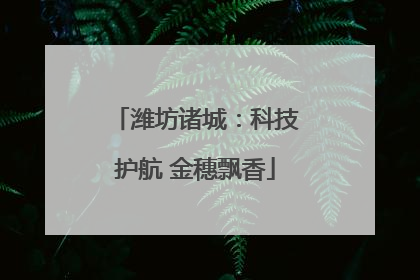 潍坊诸城：科技护航 金穗飘香