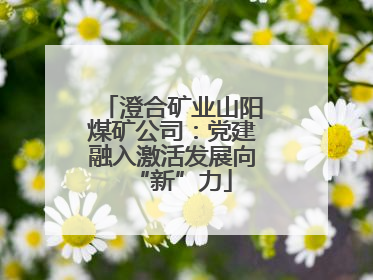 澄合矿业山阳煤矿公司：党建融入激活发展向“新”力
