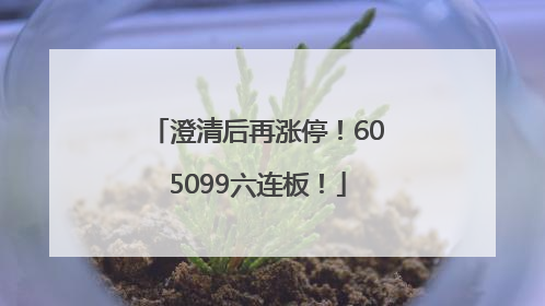 澄清后再涨停！605099六连板！