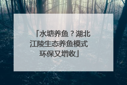 水塘养鱼？湖北江陵生态养鱼模式环保又增收