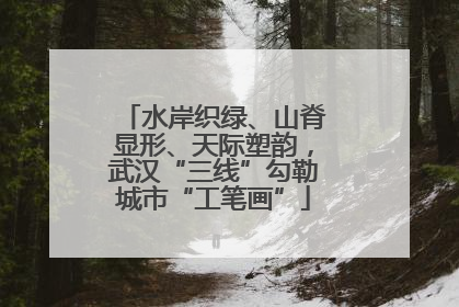 水岸织绿、山脊显形、天际塑韵，武汉“三线”勾勒城市“工笔画”