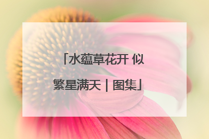 水蕴草花开 似繁星满天｜图集