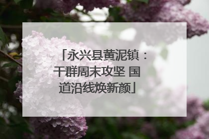 永兴县黄泥镇：干群周末攻坚 国道沿线焕新颜