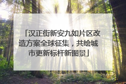 汉正街新安九如片区改造方案全球征集，共绘城市更新标杆新图景