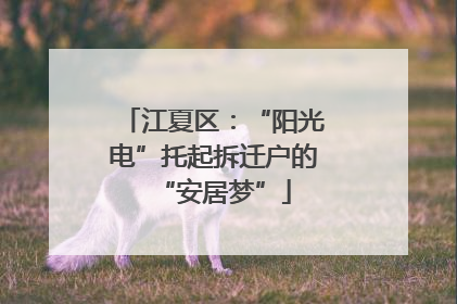 江夏区：“阳光电”托起拆迁户的“安居梦”