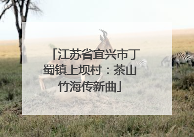 江苏省宜兴市丁蜀镇上坝村：茶山竹海传新曲