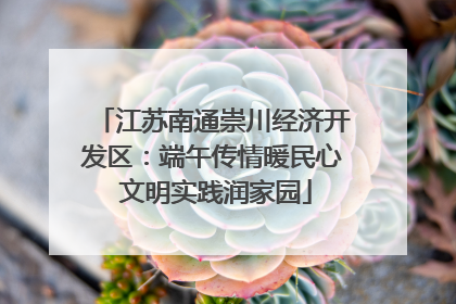 江苏南通崇川经济开发区：端午传情暖民心 文明实践润家园