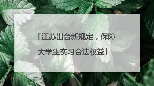 江苏出台新规定，保障大学生实习合法权益