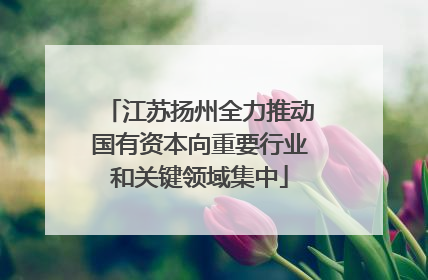 江苏扬州全力推动国有资本向重要行业和关键领域集中