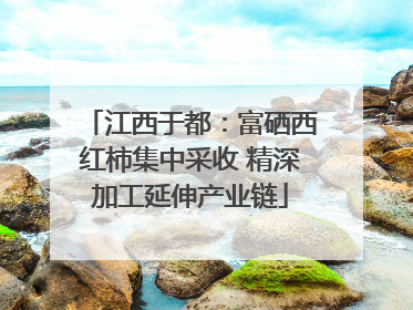 江西于都：富硒西红柿集中采收 精深加工延伸产业链