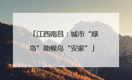 江西南昌：城市“绿岛”助候鸟“安家”