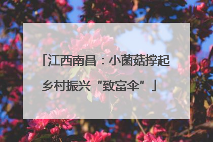 江西南昌：小菌菇撑起乡村振兴“致富伞”