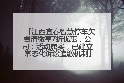 江西宜春智慧停车欠费清缴享7折优惠，公司：活动属实，已建立常态化诉讼追缴机制