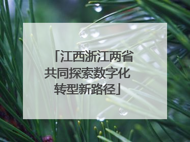 江西浙江两省共同探索数字化转型新路径