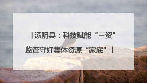 汤阴县：科技赋能“三资”监管守好集体资源“家底”
