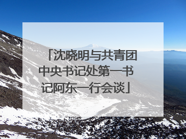 沈晓明与共青团中央书记处第一书记阿东一行会谈