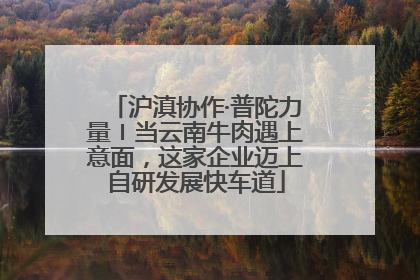 沪滇协作·普陀力量〡当云南牛肉遇上意面，这家企业迈上自研发展快车道