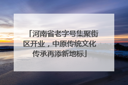 河南省老字号集聚街区开业，中原传统文化传承再添新地标