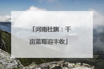 河南社旗：千亩蓝莓迎丰收