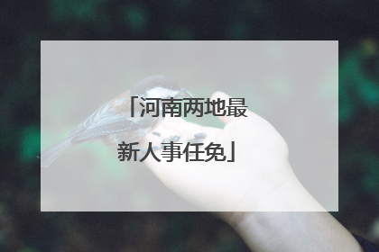 河南两地最新人事任免